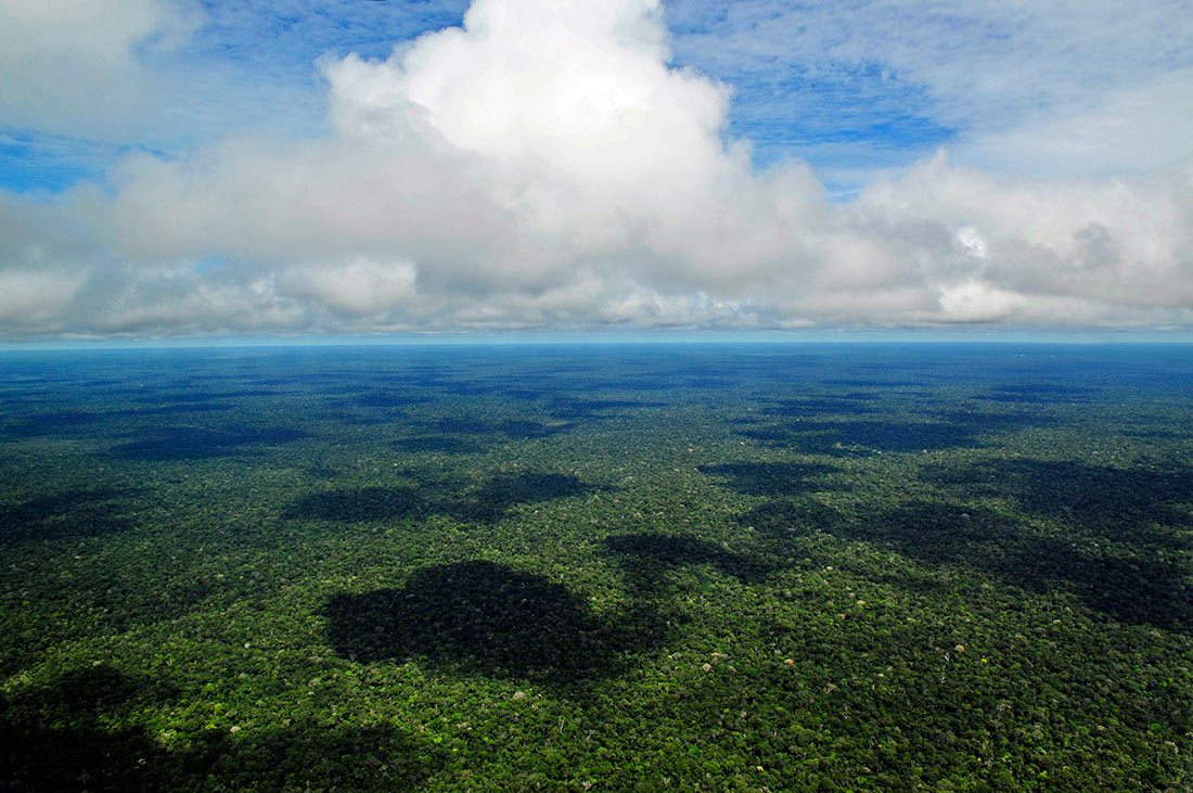 Selvas tropicales del Amazonas