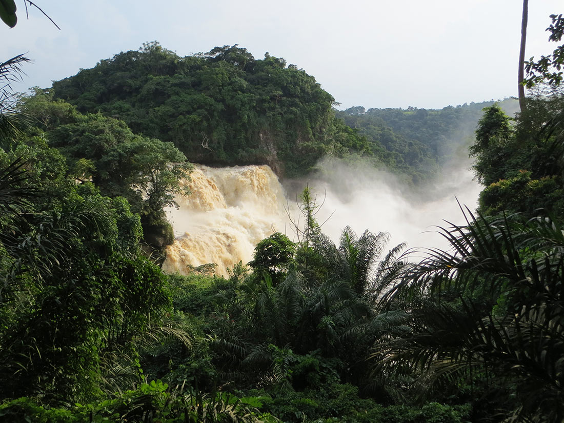 Selvas tropicales del Congo
